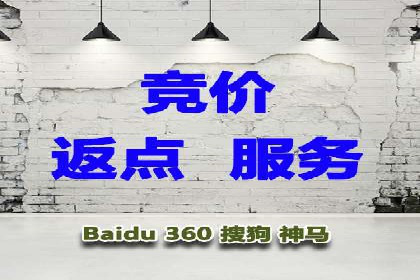 成功案例：一家SEM外包公司的成长与蜕变